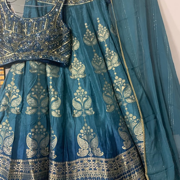 Pure banarsi silk lengha with hand embroidery blouse - Picture 3 of 10